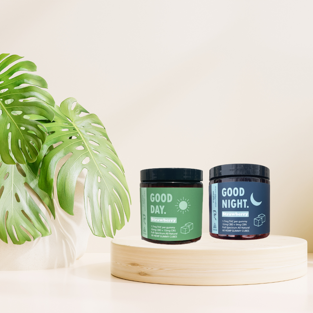 Good Day & Night Gummies