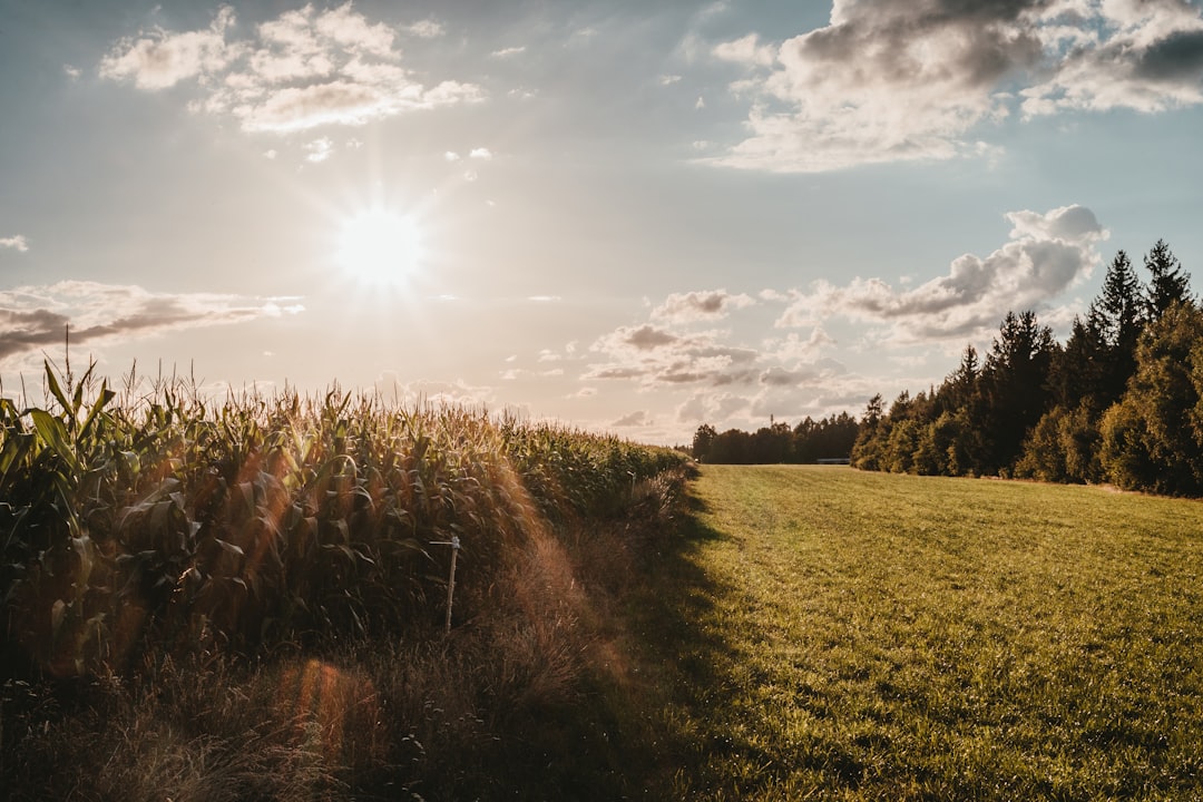 Transparent Sourcing: A Holistic Approach