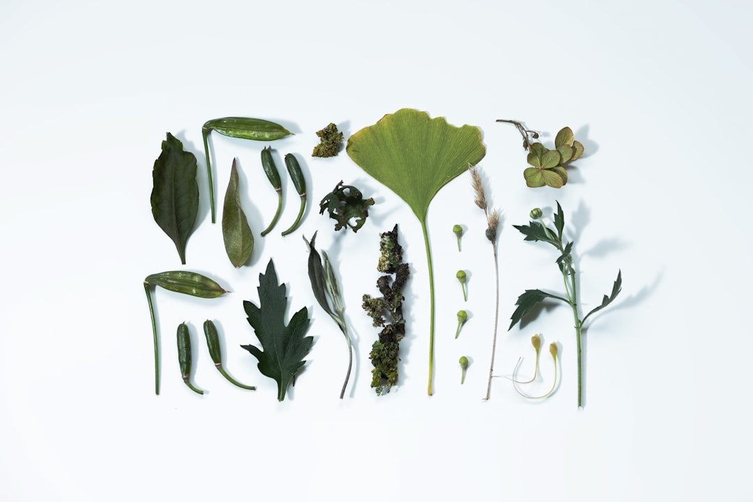 Why the Whole Plant Works Better Than One Part
